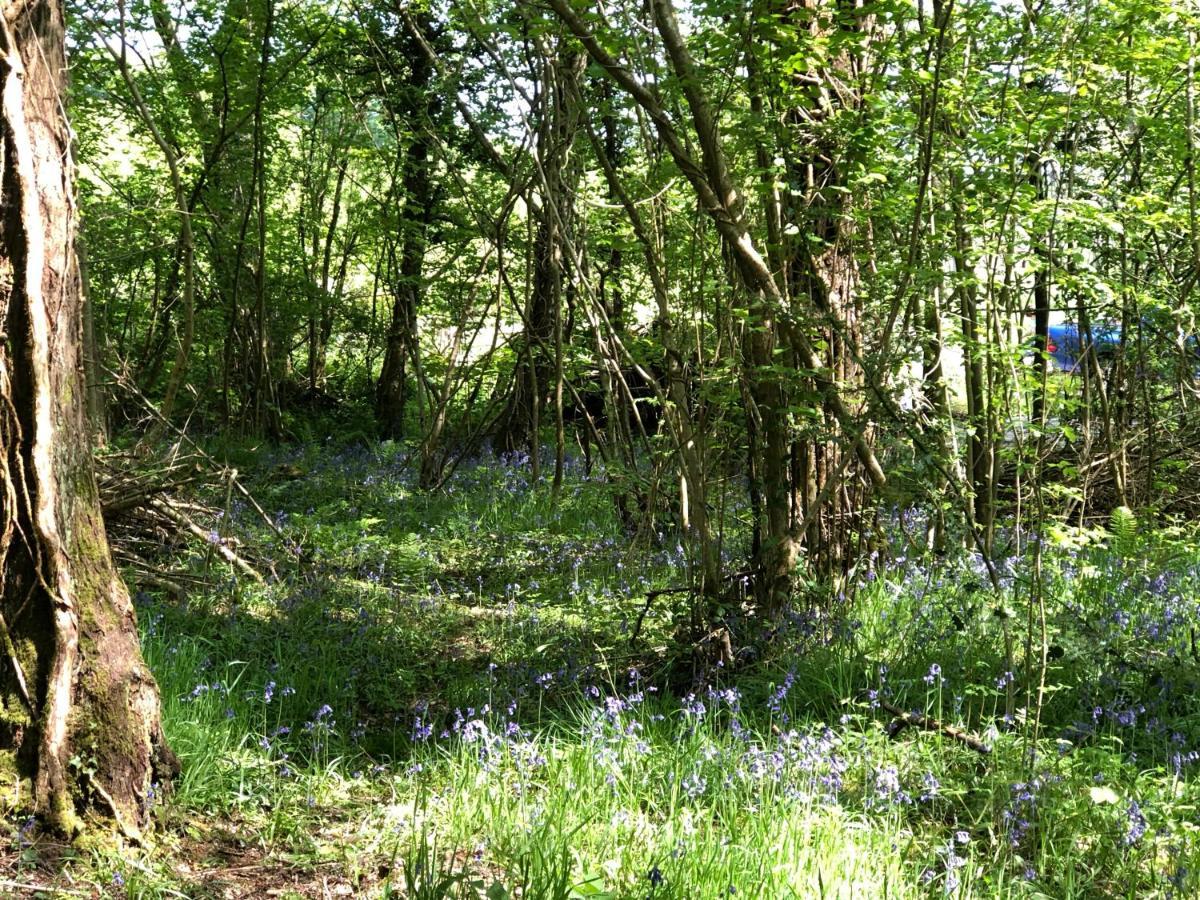 Coed Y Marchog Woodland Retreat Βίλα Χέρεφορντ Εξωτερικό φωτογραφία