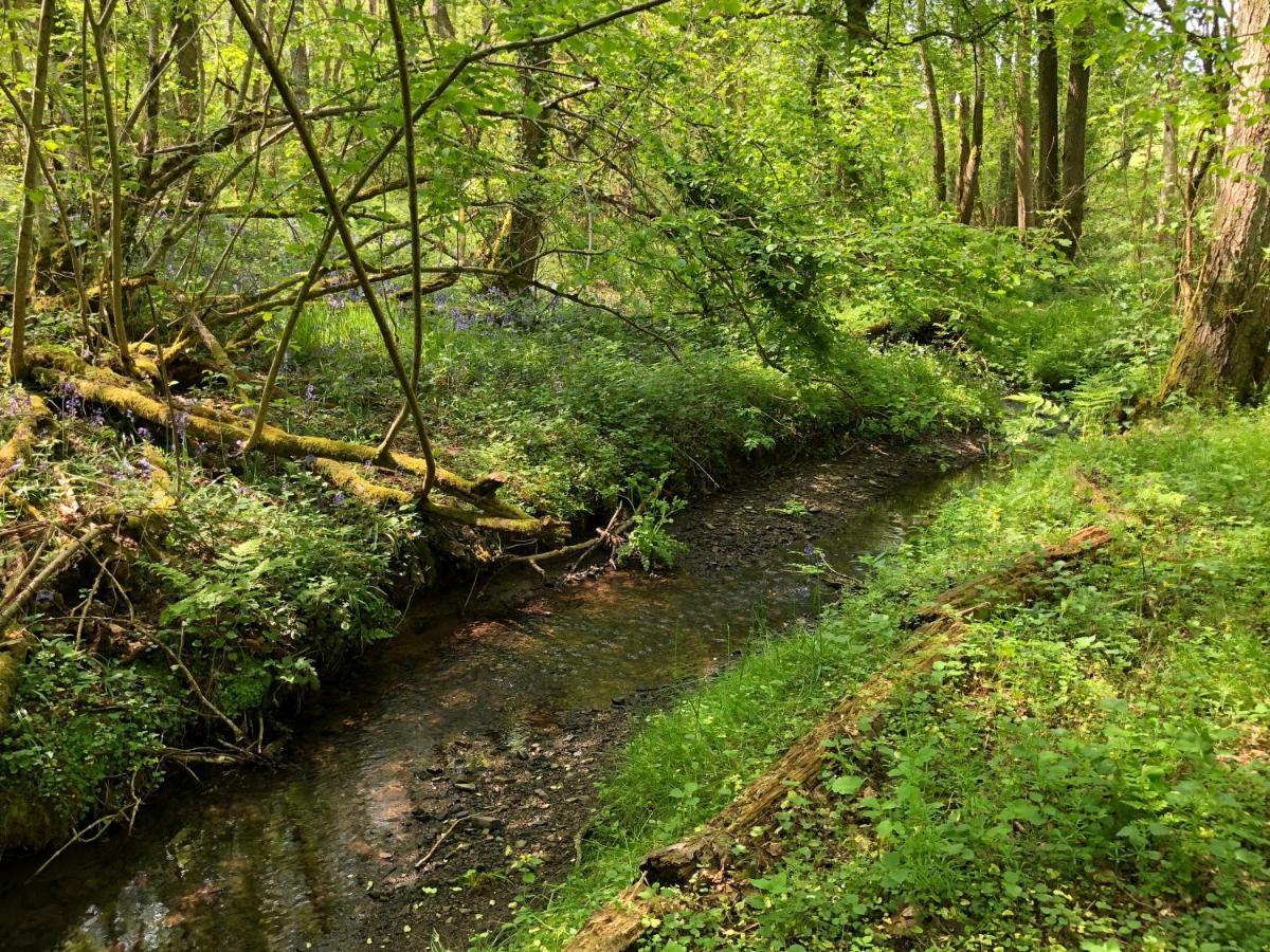 Coed Y Marchog Woodland Retreat Βίλα Χέρεφορντ Εξωτερικό φωτογραφία