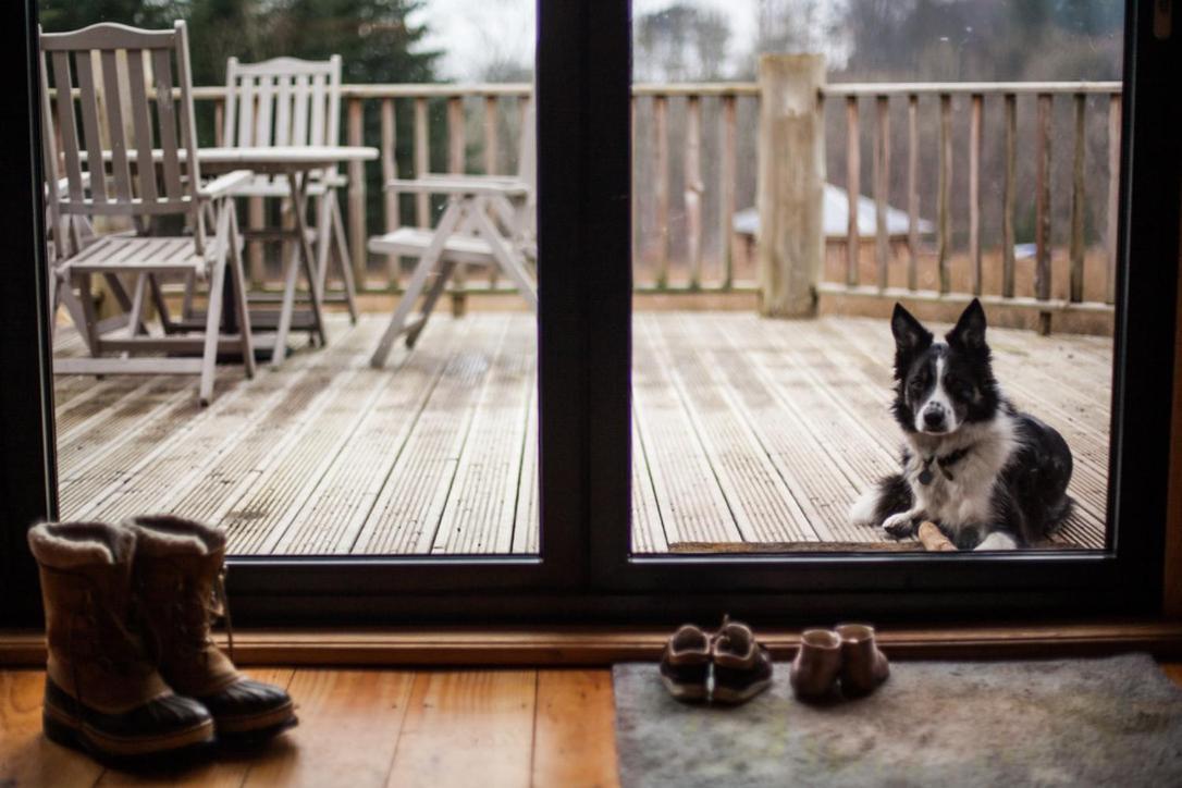 Coed Y Marchog Woodland Retreat Βίλα Χέρεφορντ Εξωτερικό φωτογραφία